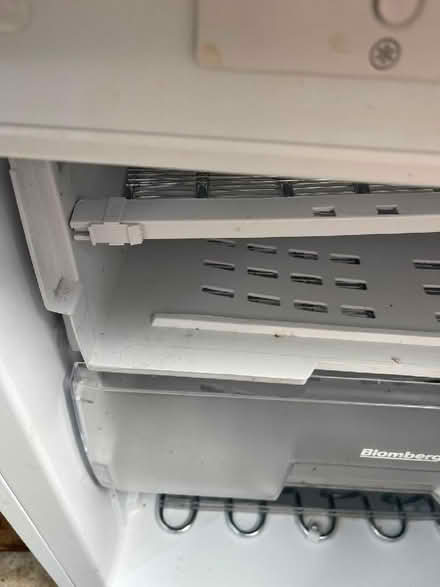 Photo of free Bloomberg built in freezer (Hove BN3) #4