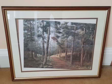 Photo of free Limited edition print as shown (Warsash SO31) #1
