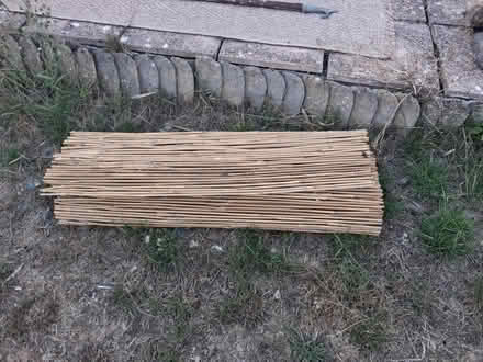 Photo of free Bamboo Fence Screens (Spixworth NR10) #2