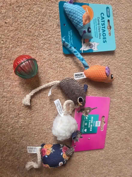 Photo of free Cat toys (Hackthorpe CA10) #1