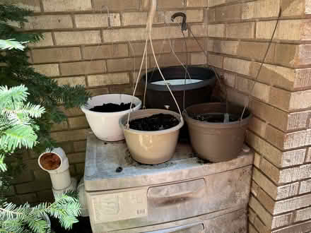 Photo of free hanging baskets (northeast ann arbor) #2