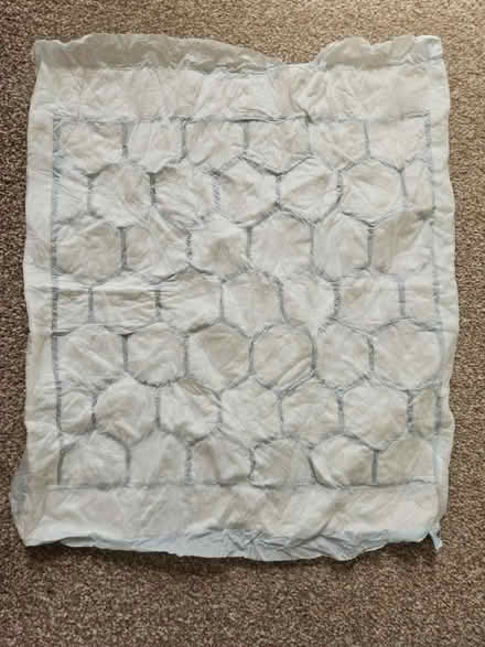 Photo of free Absorbent pads (Wheatley) #1