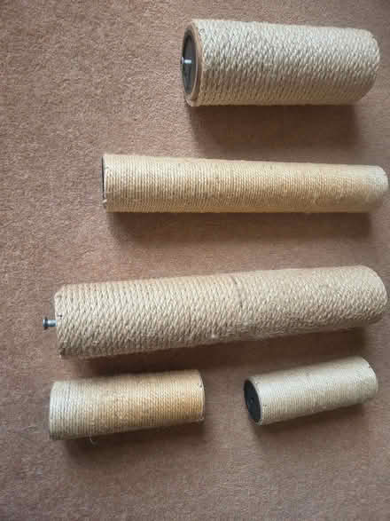 Photo of free Cat Scratching Posts Replacements (Hackthorpe CA10) #1