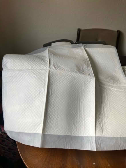 Photo of free Incontinence pads and sheets (Selsey PO20) #2
