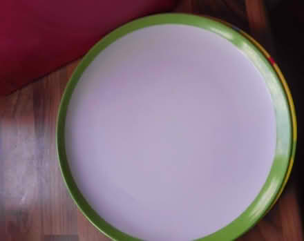 Photo of free Plastic plate (Killamarsh S21) #1