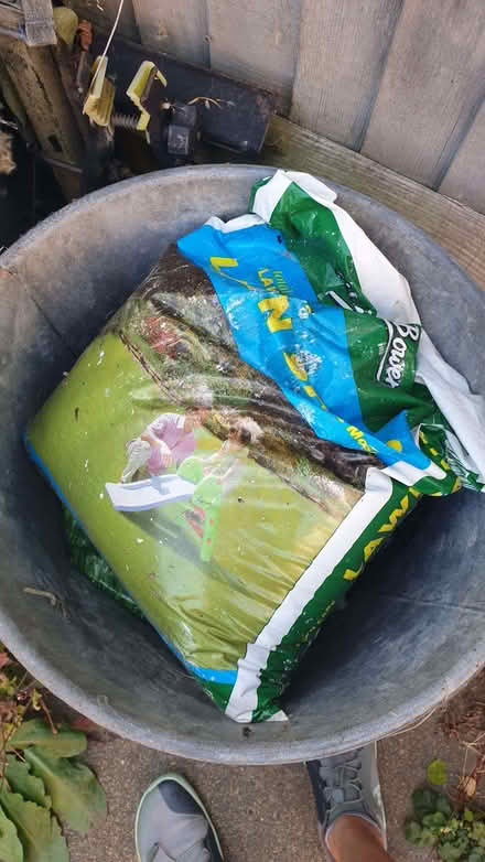 Photo of free Garden Shed clear out! (Buggs Bottom RG4) #1
