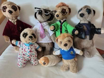 Photo of free Meerkat toys (Shirley CR0) #1