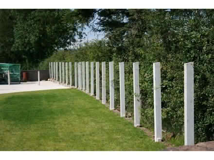Photo of Concrete fence posts (Sale M33) #1