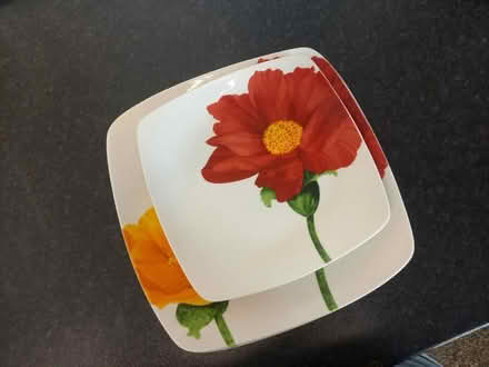 Photo of free Flowery plate set (Burngreave S4) #3