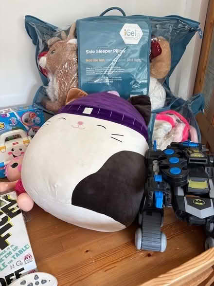 Photo of free Bundle of toys (Blackbrook WA2) #2