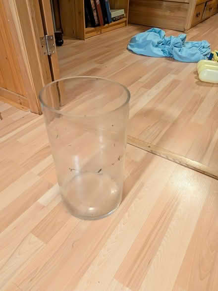 Photo of free Large plastic vase 13" x 8" (Swansea Bloor West) #1