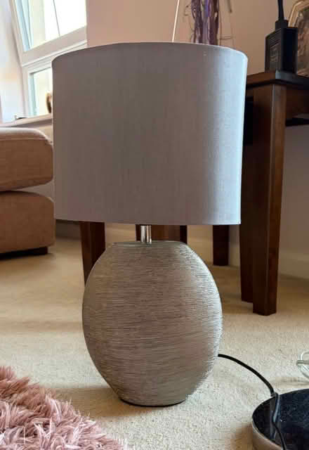 Photo of free Silver/grey Next table lamp and matching floor lamp (Fairmilehead EH10) #1