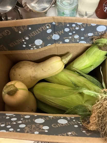 Photo of free Organically grown, fresh picked surplus garden produce (Hyde Park LS6) #2