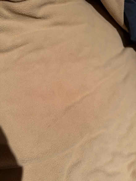 Photo of free Bag and coat (E106dt) #4