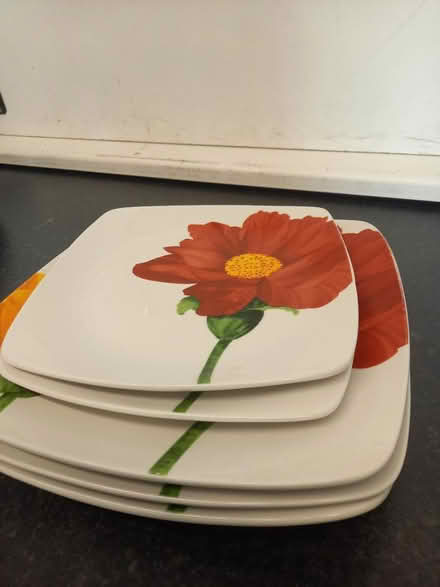 Photo of free Flowery plate set (Burngreave S4) #1