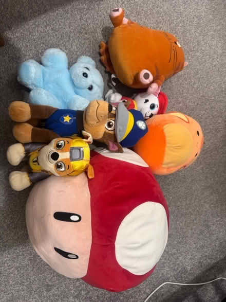 Photo of free Kid’s teddies and books (Staines TW18) #2