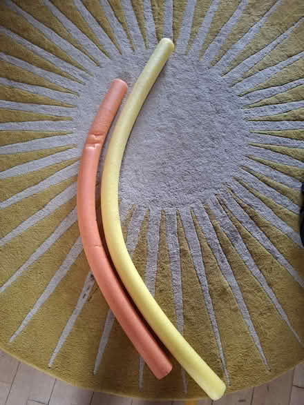 Photo of free 2 pool noodles (St thomas, exeter EX2) #1