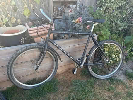 Photo of free Bike (Near Forest School RH13) #1