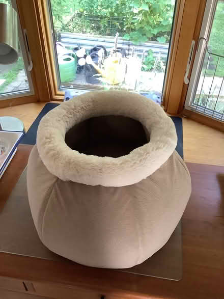 Photo of free GIFT- Cat Bed (Townsend) #1