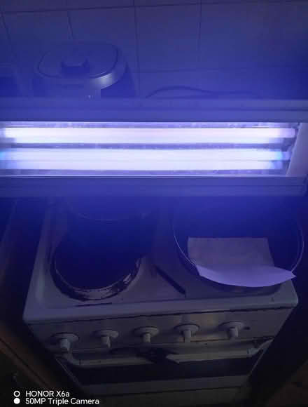 Photo of free Fish Tank and Light (Gillingham ME7) #2