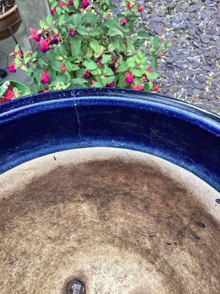 Photo of free Dark blue glazed garden pot with leaf design (Dartford DA1) #3