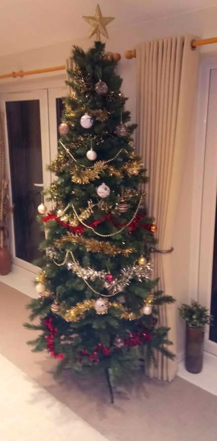 Photo of free Christmas Tree 7'6" (Bricknells Meadow OX28) #1