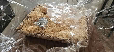 Photo of free Gift basket (Barcombe BN8) #1