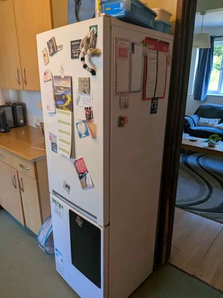 Photo of free Fridge freezer (Cumnor OX2) #4