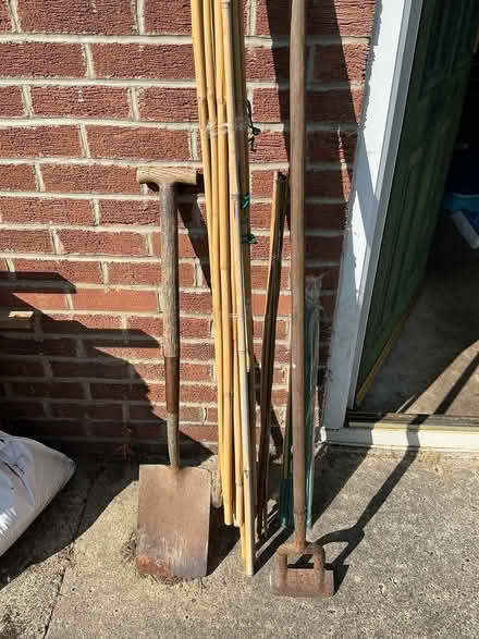 Photo of free Garden stuff (Birtley DH3) #1