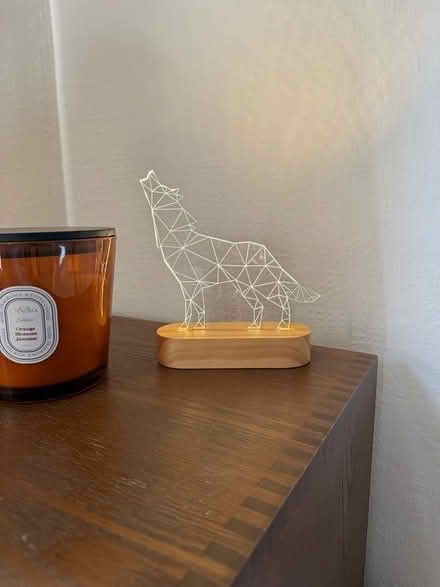 Photo of free Led wolf light (Leavesden WD25) #1