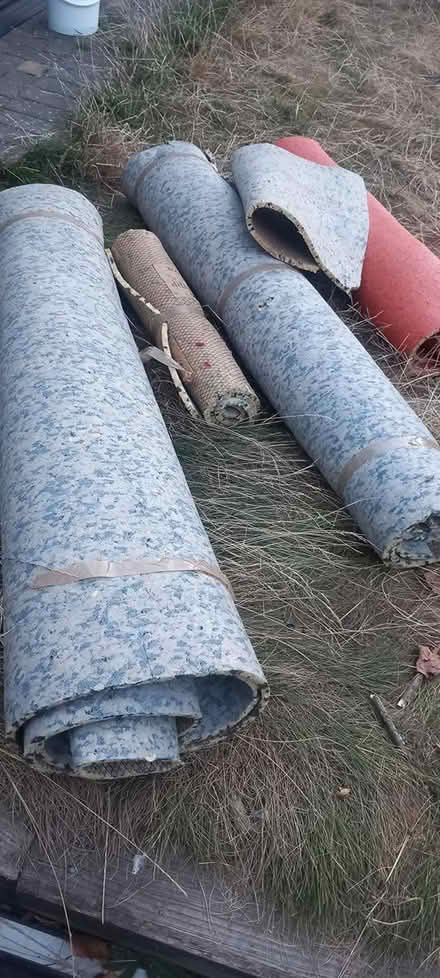 Photo of free Used carpet underlay (Plumstead Common SE18) #1