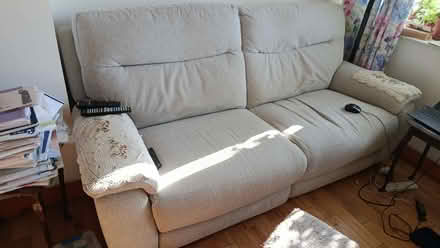 Photo of free 3 sea (Colchester, Mile end) #1