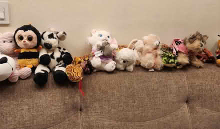 Photo of free Stuffed Animals (Stuyvesant Town) #2