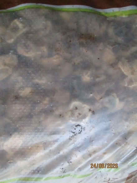 Photo of free Stone chippings (Hitchin SG4) #2