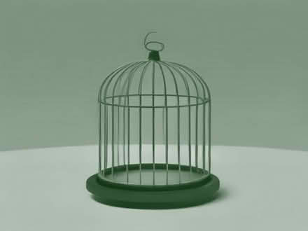 Photo of Bird cage (large) (Lower Edmonton, N9) #1