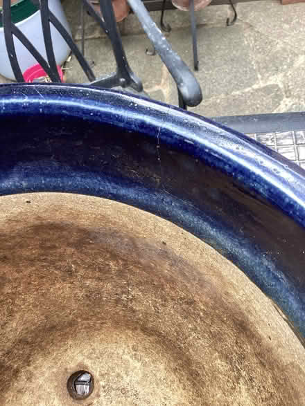 Photo of free Dark blue glazed garden pot with leaf design (Dartford DA1) #4