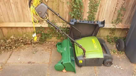 Photo of free Garden Shed clear out! (Buggs Bottom RG4) #2