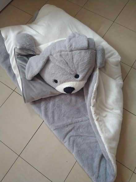 Photo of free Teddy bear sleeping bag (DE23 sinfin) #1