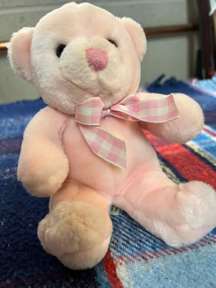 Photo of free Small soft pink ted (Westbrook WA5) #1