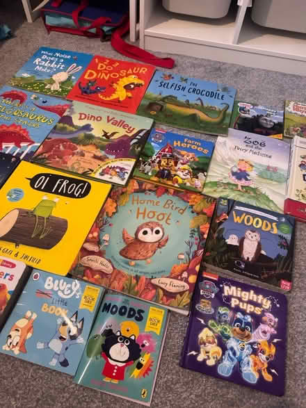 Photo of free Kid’s teddies and books (Staines TW18) #1