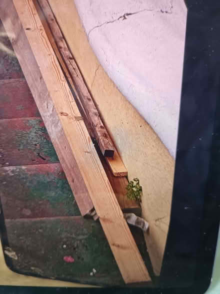 Photo of free Wood (Hanover BN2) #1