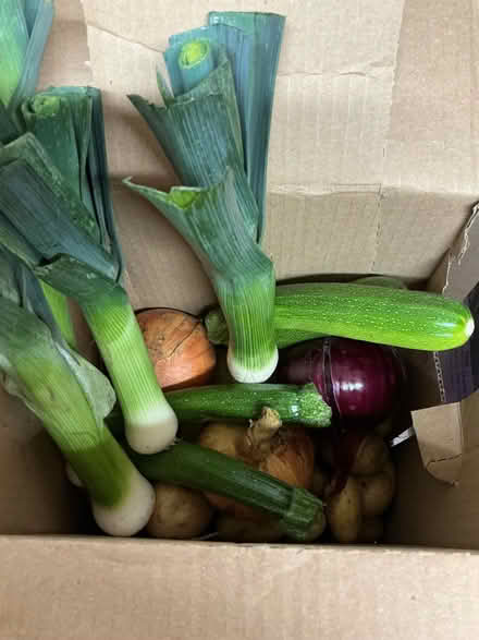 Photo of free Organically grown, fresh picked surplus garden produce (Hyde Park LS6) #3