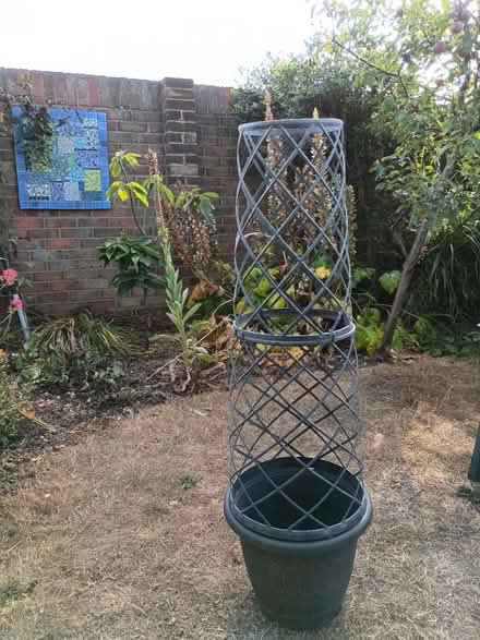 Photo of free Plant pot with circular trellis (Thorpe Bay SS1) #1