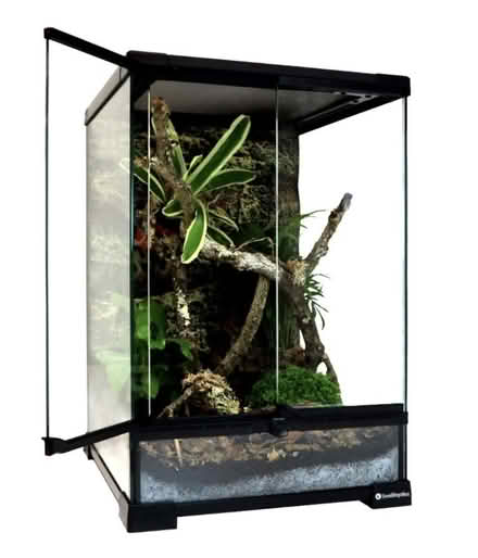Photo of Any unneeded terrariums (Bolton, BL1) #2