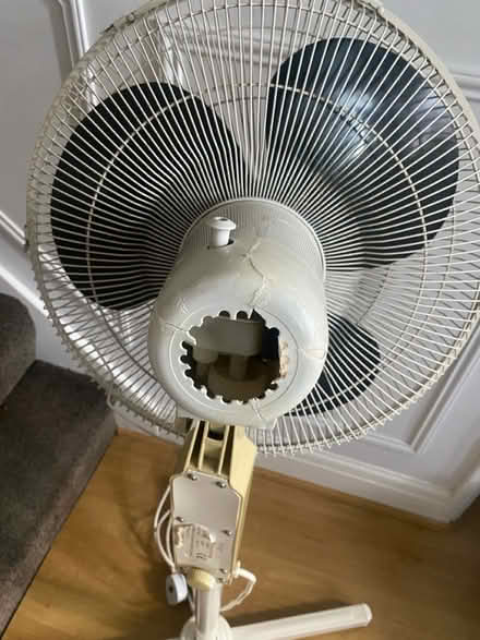Photo of free Pedestal Fan (Abbey Wood SE2) #1