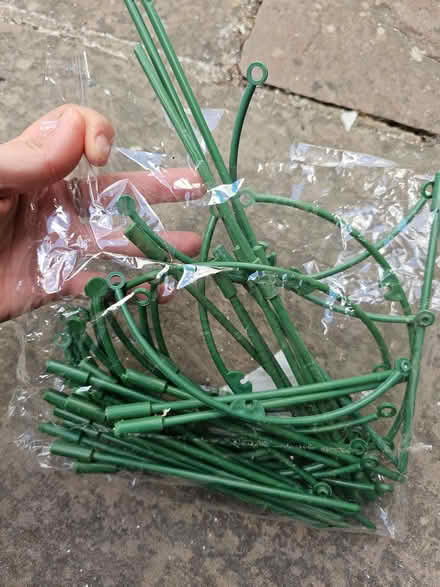Photo of free Plant support (Bromham MK43) #1