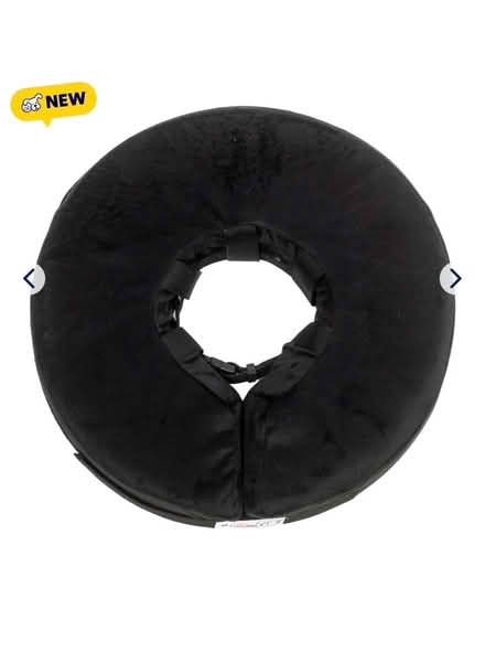Photo of In search Small/ medium cat donut (Oakland) #1