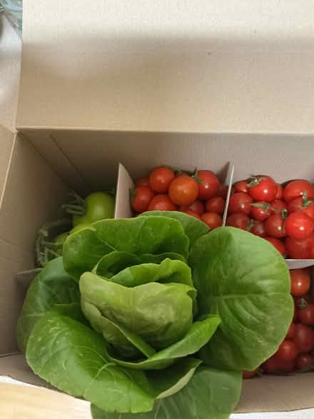 Photo of free Organically grown, fresh picked surplus garden produce (Hyde Park LS6) #1