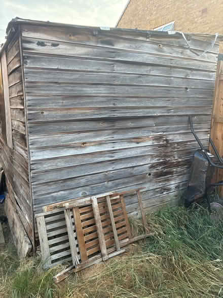 Photo of free Large shed for timber (Woodley RG5) #2