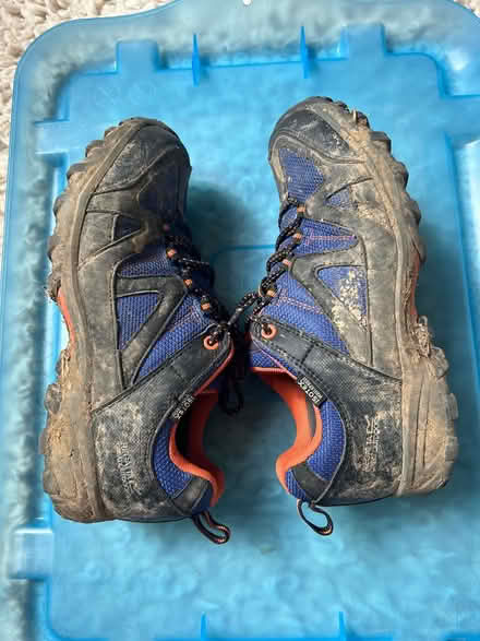 Photo of free Walking shoes (TN37 near Asda) #3